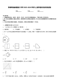 贵州黔西南州望谟三中学2023-2024学年九上数学期末质量检测试题含答案