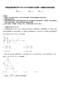 贵州省安顺市第五中学2023-2024学年数学九年级第一学期期末达标检测试题含答案