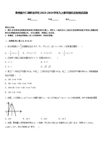 贵州省兴仁县黔龙学校2023-2024学年九上数学期末达标测试试题含答案