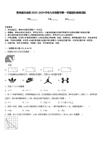 贵州省织金县2023-2024学年九年级数学第一学期期末调研试题含答案