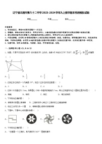 辽宁省沈阳市第八十二中学2023-2024学年九上数学期末检测模拟试题含答案