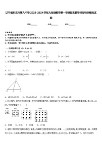 辽宁省丹东市第九中学2023-2024学年九年级数学第一学期期末教学质量检测模拟试题含答案