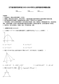 辽宁省沈阳市苏家屯区2023-2024学年九上数学期末统考模拟试题含答案