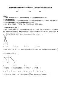 西省渭南市富平县2023-2024学年九上数学期末学业质量监测试题含答案