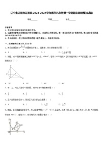 辽宁省辽阳市辽阳县2023-2024学年数学九年级第一学期期末调研模拟试题含答案