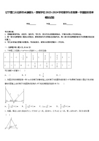 辽宁营口大石桥市水源镇九一贯制学校2023-2024学年数学九年级第一学期期末统考模拟试题含答案