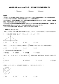 陕西省宝鸡市2023-2024学年九上数学期末学业质量监测模拟试题含答案