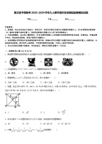 重庆梁平县联考2023-2024学年九上数学期末质量跟踪监视模拟试题含答案