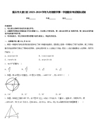 重庆市大渡口区2023-2024学年九年级数学第一学期期末考试模拟试题含答案