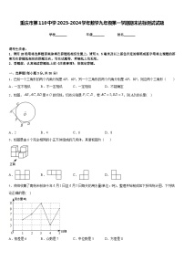 重庆市第110中学2023-2024学年数学九年级第一学期期末达标测试试题含答案