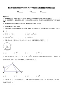 重庆市渝北区实验中学2023-2024学年数学九上期末复习检测模拟试题含答案