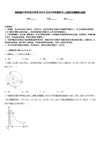 陕西省兴平市华兴中学2023-2024学年数学九上期末经典模拟试题含答案