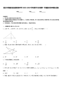 重庆市荣昌区盘龙镇初级中学2023-2024学年数学九年级第一学期期末统考模拟试题含答案