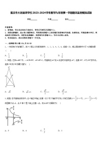 重庆市大足迪涛学校2023-2024学年数学九年级第一学期期末监测模拟试题含答案