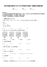 重庆市巴南区全善学校2023-2024学年数学九年级第一学期期末考试模拟试题含答案