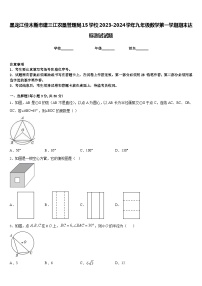 黑龙江佳木斯市建三江农垦管理局15学校2023-2024学年九年级数学第一学期期末达标测试试题含答案