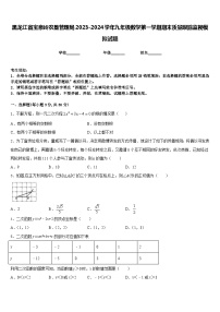 黑龙江省宝泉岭农垦管理局2023-2024学年九年级数学第一学期期末质量跟踪监视模拟试题含答案