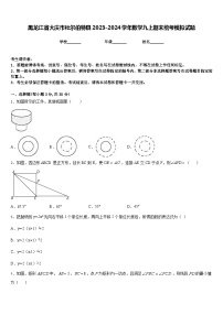 黑龙江省大庆市杜尔伯特县2023-2024学年数学九上期末统考模拟试题含答案