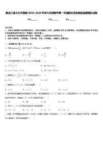 黑龙江省大庆市肇源2023-2024学年九年级数学第一学期期末质量跟踪监视模拟试题含答案