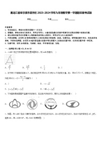 黑龙江省哈尔滨市道外区2023-2024学年九年级数学第一学期期末联考试题含答案