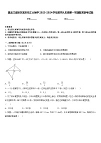 黑龙江省哈尔滨市哈工大附中2023-2024学年数学九年级第一学期期末联考试题含答案