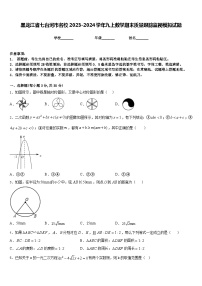 黑龙江省七台河市名校2023-2024学年九上数学期末质量跟踪监视模拟试题含答案