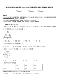 黑龙江省尚志市希望中学2023-2024学年数学九年级第一学期期末预测试题含答案