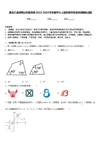 黑龙江省双鸭山市集贤县2023-2024学年数学九上期末教学质量检测模拟试题含答案