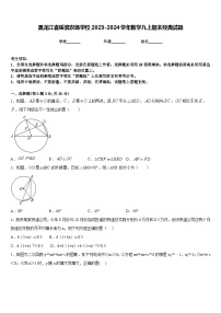 黑龙江省绥滨农场学校2023-2024学年数学九上期末经典试题含答案