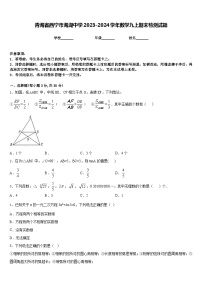 青海省西宁市海湖中学2023-2024学年数学九上期末检测试题含答案