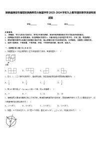 陕西省西安市雁塔区陕西师范大附属中学2023-2024学年九上数学期末教学质量检测试题含答案