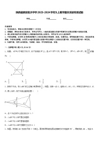 陕西省西安航天中学2023-2024学年九上数学期末质量检测试题含答案