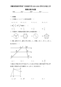 安徽省淮南市寿县广岩初级中学2023-2024学年九年级上学期期末数学试题(含答案)