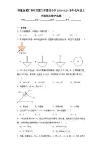 福建省厦门市明区厦门市莲花中学2023-2024学年七年级上学期期末数学试题(含答案)