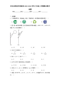 河北省保定市安新县2023-2024学年八年级上学期期末数学试题(含答案)