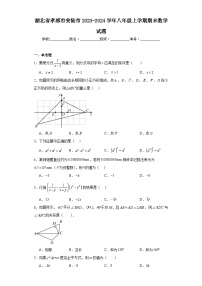 湖北省孝感市安陆市2023-2024学年八年级上学期期末数学试题(含答案)