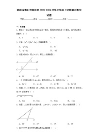 湖南省衡阳市衡南县2023-2024学年七年级上学期期末数学试题(含答案)