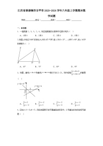 江西省景德镇市乐平市2023-2024学年八年级上学期期末数学试题(含答案)