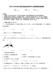 2023-2024学年上海市宝山区淞谊中学九上数学期末检测试题含答案