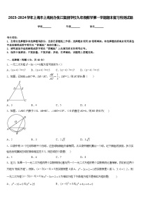 2023-2024学年上海市上海民办张江集团学校九年级数学第一学期期末复习检测试题含答案