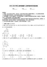 2023-2024学年上海市杨浦区九上数学期末综合测试试题含答案