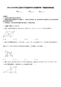 2023-2024学年上海市长宁区高级中学九年级数学第一学期期末调研试题含答案