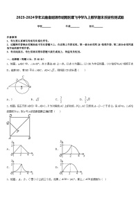 2023-2024学年云南省昭通市昭阳区建飞中学九上数学期末质量检测试题含答案