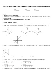 2023-2024学年云南省玉溪市江川县数学九年级第一学期期末教学质量检测模拟试题含答案