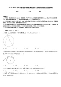 2023-2024学年云南省昭通市盐津县数学九上期末学业质量监测试题含答案