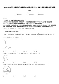 2023-2024学年吉林省延边朝鲜族自治州名校数学九年级第一学期期末达标检测模拟试题含答案