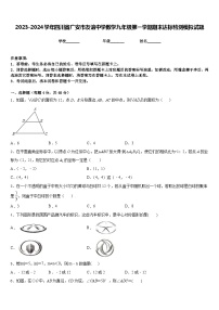 2023-2024学年四川省广安市友谊中学数学九年级第一学期期末达标检测模拟试题含答案