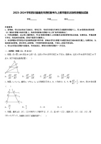 2023-2024学年四川省南充市四校联考九上数学期末达标检测模拟试题含答案