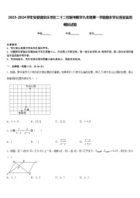 2023-2024学年安徽省安庆市区二十二校联考数学九年级第一学期期末学业质量监测模拟试题含答案