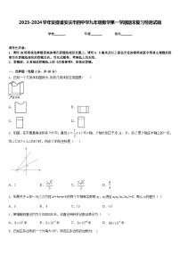 2023-2024学年安徽省安庆市四中学九年级数学第一学期期末复习检测试题含答案